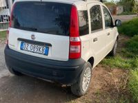 usata Fiat Panda Panda 1.2 Dualogic