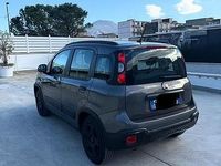 Usata Fiat Panda Cross Cross 2020 Grigio Utilitaria