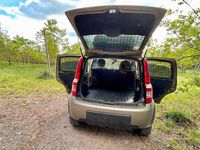 Usata Fiat Panda 4x4 69 CV (50 kW) 2007 Marrone Utilitaria