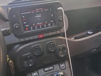 Usata Fiat Panda Cross Cross 69 CV (50 kW) 2022 Utilitaria