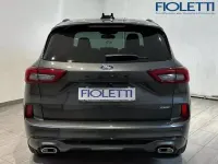 Usata Ford Kuga ST-Line X 180 CV (132 kW) 2026 Grigio SUV