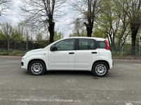 usata Fiat Panda 1.2 69cv E6 Easy