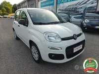 Usata Fiat Panda Easy 69 CV (50 kW) 2020 Bianco Utilitaria