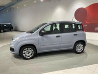 Usata Fiat Panda Easy 69 CV (50 kW) 2020 Grigio Utilitaria