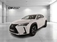 Usata Lexus UX 250h Luxury Line 2019 Bianco SUV
