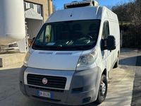 usata Fiat Ducato ATP coibentato