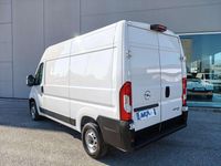 Usata Opel Movano S 140 CV (102 kW) 2024 Bianco Furgone