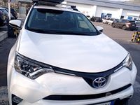 Usata Toyota RAV4 Hybrid Active 155 CV (114 kW) 2016 Bianco SUV