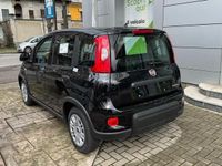 usata Fiat Panda 1.0 Hybrid