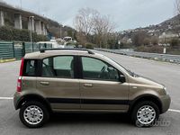 Usata Fiat Panda 4x4 Climbing 60 CV (44 kW) 2008 Oro Utilitaria