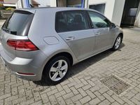 usata VW Golf Golf5p 1.6 tdi Sound 115cv+ 4 cerchi in lega