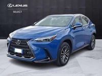 Usata Lexus NX350h 243 CV (178 kW) 2023 Blu SUV