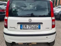Usata Fiat Panda 4x4 69 CV (50 kW) 2009 Bianco Utilitaria