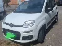 Usata Fiat Panda 4x4 85 CV (62 kW) 2019 Bianco Utilitaria