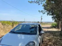 Usata Fiat Punto Evo 75 CV (55 kW) 2010 Bianco Utilitaria