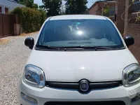 Usata Fiat Panda 69 CV (50 kW) 2019 Bianco Utilitaria