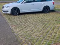 Usata Skoda Octavia 150 CV (110 kW) 2017 Bianco Station wagon