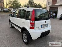 Usata Fiat Panda 4x4 Climbing 75 CV (55 kW) 2012 Other Utilitaria