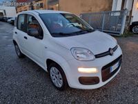 usata Fiat Panda Panda1.2 POP NEOPATENTATI FR814NY