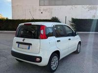 Usata Fiat Panda Easy 69 CV (50 kW) 2020 Bianco Berlina