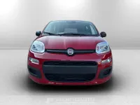 Nuova Fiat Panda 70 CV (51 kW) 2025 Rossotessuto nero con monogramma fiat  fascia plancia antracite Utilitaria