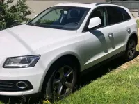 Usata Audi Q5 Advanced Plus 150 CV (110 kW) 2016 Bianco SUV