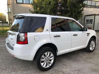 Usata Land Rover Freelander 2 SE 190 CV (139 kW) 2011 SUV