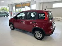 Usata Fiat Panda S 69 CV (50 kW) 2024 Rosso Utilitaria