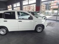 usata Fiat Panda 1.2 Pop / 2019 / 5P / BERLINA 1.2 69 CV VAN 2 POSTI EURO6 POP