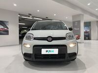 usata Fiat Panda 1.0 FireFly 70cv S&S Hybrid City Life