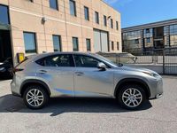 Usata Lexus NX300h Executive Line 155 CV (114 kW) 2016 Grigio SUV