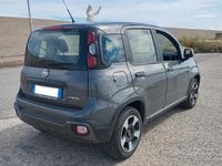 Usata Fiat Panda Cross Cross 2023 Grigio Utilitaria