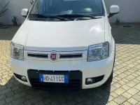 Usata Fiat Panda 4x4 Climbing 69 CV (50 kW) 2012 Bianco Utilitaria