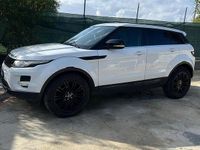 Usata Land Rover Range Rover evoque 190 CV (139 kW) 2012 Bianco SUV