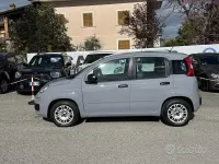 Usata Fiat Panda 69 CV (50 kW) 2019 Grigio Utilitaria