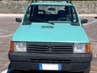 Usata Fiat Panda 4x4 Trekking 54 CV (39 kW) 2000 Verde Utilitaria