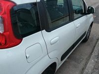 Usata Fiat Panda 69 CV (50 kW) 2013 Bianco Utilitaria