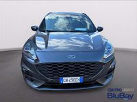 Usata Ford Kuga ST-Line 150 CV (110 kW) 2023 Grigio SUV