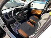 Usata Fiat Panda 4x4 90 CV (66 kW) 2016 Bianco Utilitaria