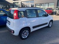 usata Fiat Panda 1.2 Lounge