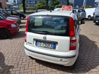 Usata Fiat Panda Dynamic 60 CV (44 kW) 2010 Bianco Utilitaria