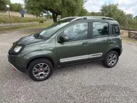 Usata Fiat Panda Cross Cross 95 CV (69 kW) 2017 Verde Utilitaria
