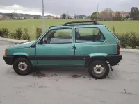 Usata Fiat Panda 4x4 Trekking 54 CV (39 kW) 1998 Verde Utilitaria
