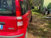 Usata Fiat Panda 77 CV (56 kW) 2008 Rosso Utilitaria