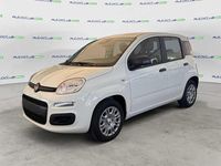 Nuova Fiat Panda Icon 69 CV (50 kW) 2025 Bianco Utilitaria