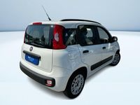 usata Fiat Panda 1.2 EasyPower Easy