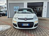 Usata Fiat Panda Easy 71 CV (52 kW) 2020 Bianco Berlina