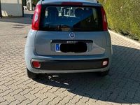 Usata Fiat Panda 69 CV (50 kW) 2019 Utilitaria