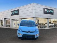 Usata Fiat Panda S 70 CV (51 kW) 2023 Bianco Berlina