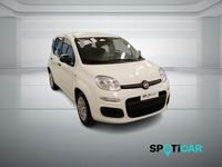 Nuova Fiat Panda S 69 CV (50 kW) 2025 Bianco Utilitaria